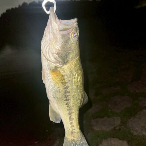 趣味🎣 アイキャッチ画像