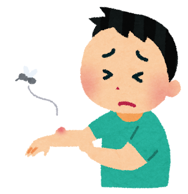 虫刺されに注意⚠️ アイキャッチ画像