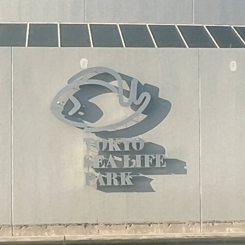 🐧葛西臨海水族園🐧 アイキャッチ画像