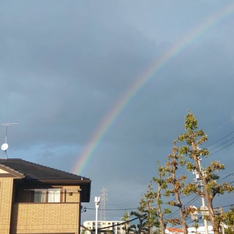 虹🌈 アイキャッチ画像