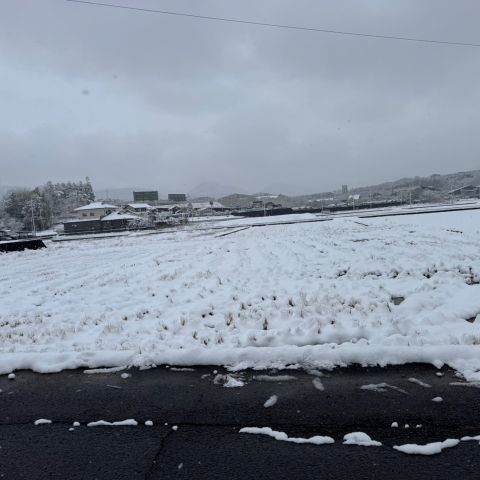 積雪⛄ アイキャッチ画像